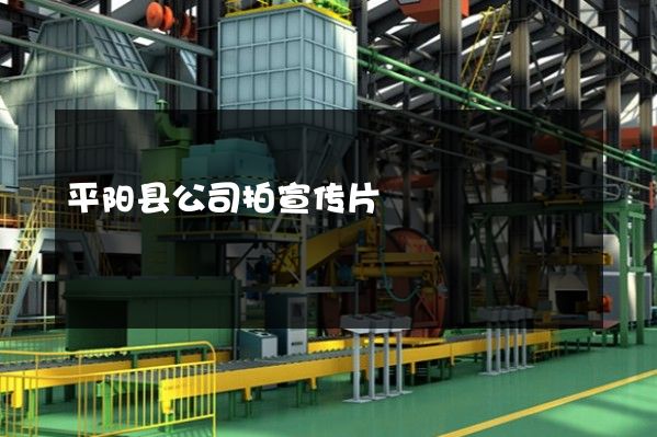 平阳县公司拍宣传片
