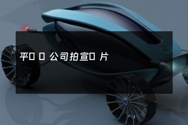 平陽縣公司拍宣傳片