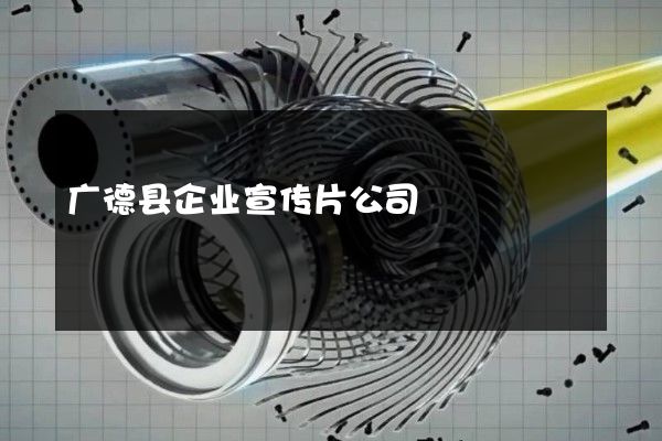 广德县企业宣传片公司
