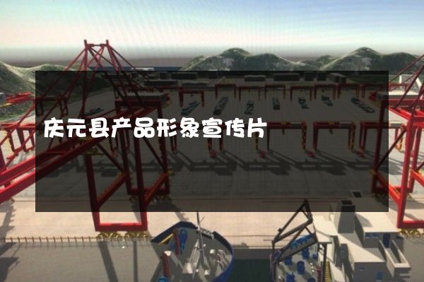 庆元县产品形象宣传片