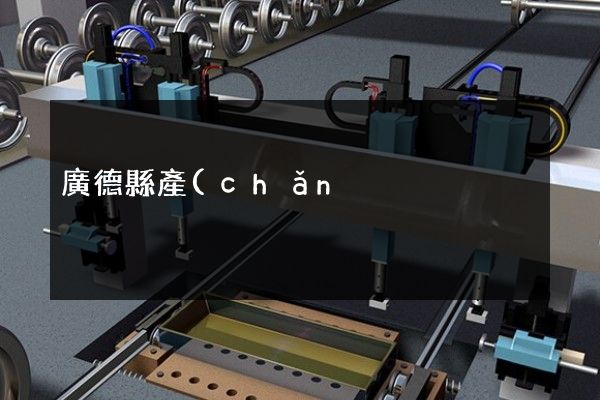 廣德縣產(chǎn)品廣告片 廣德縣產(chǎn)品廣告片