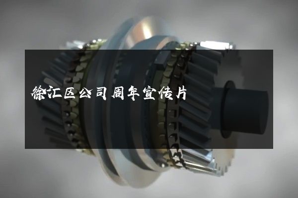 徐汇区公司周年宣传片