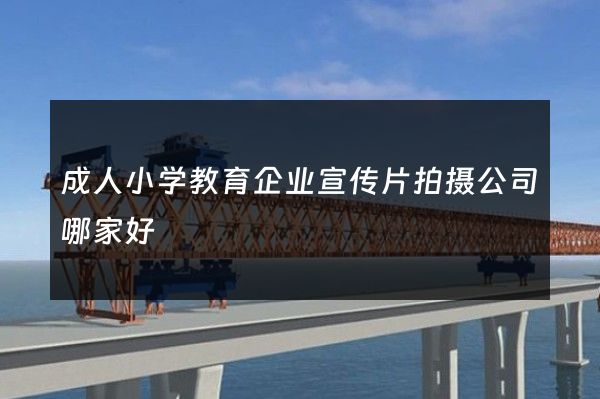 成人小学教育企业宣传片拍摄公司哪家好