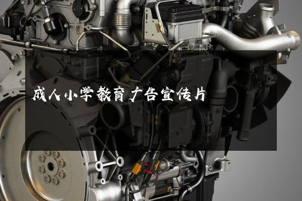 成人小学教育广告宣传片