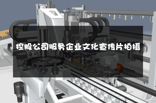 控股公司服务企业文化宣传片拍摄