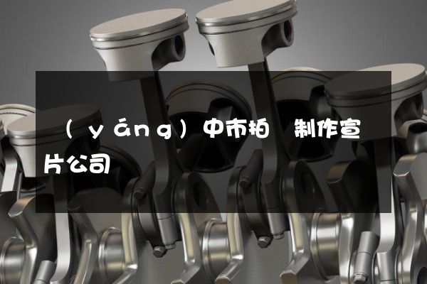 揚(yáng)中市拍攝制作宣傳片公司