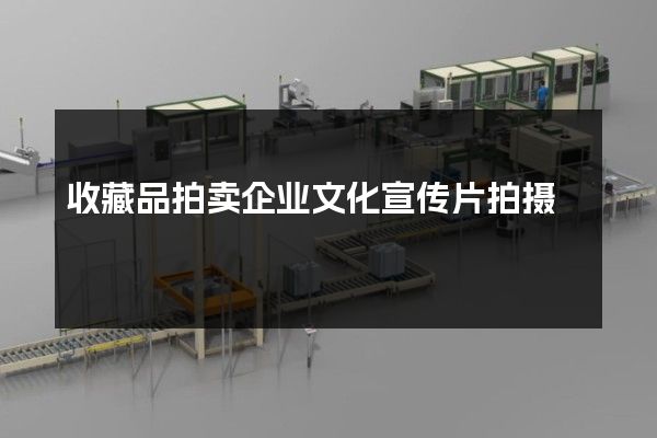 收藏品拍卖企业文化宣传片拍摄