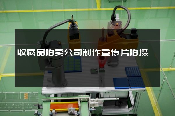 收藏品拍卖公司制作宣传片拍摄