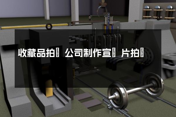 收藏品拍賣公司制作宣傳片拍攝