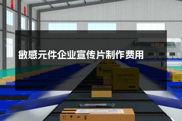 敏感元件企业宣传片制作费用