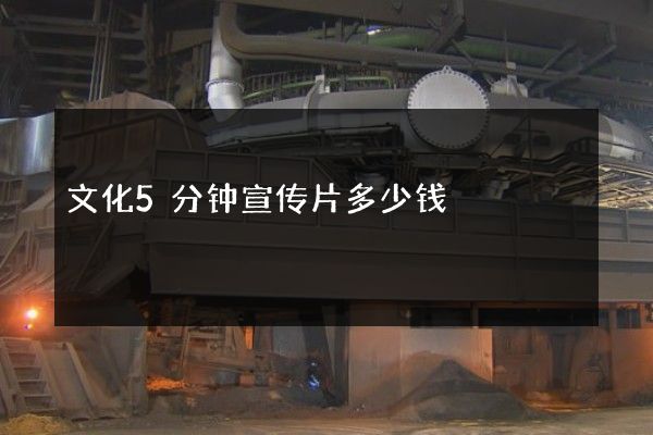 文化5分钟宣传片多少钱