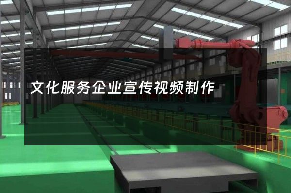 文化服务企业宣传视频制作