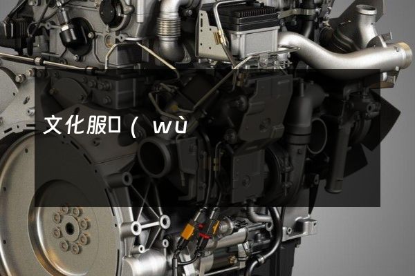 文化服務(wù)宣傳片拍攝制作報(bào)價(jià)單 文化服務(wù)宣傳片拍攝制作報(bào)價(jià)單