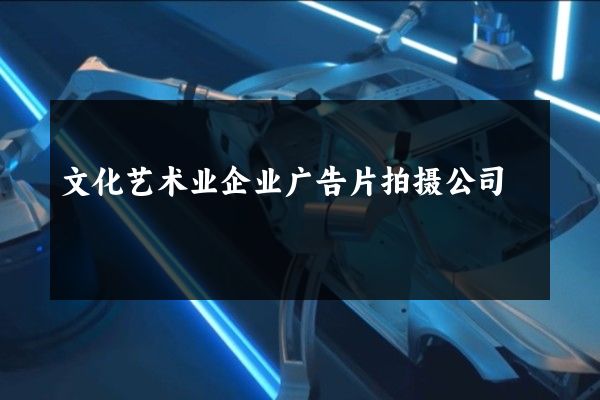 文化艺术业企业广告片拍摄公司