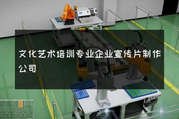 文化艺术培训专业企业宣传片制作公司