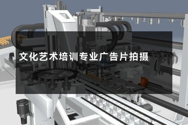 文化艺术培训专业广告片拍摄