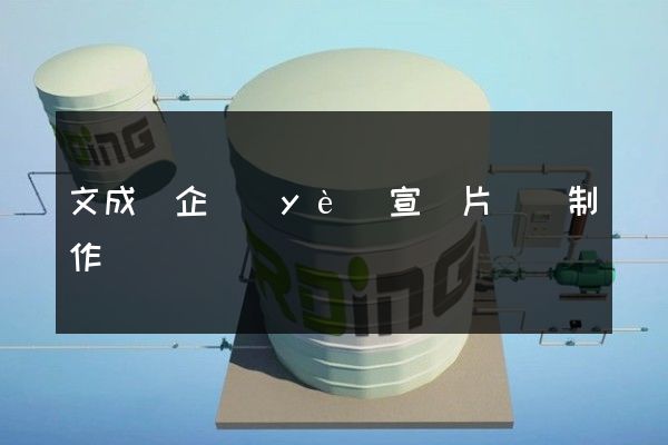 文成縣企業(yè)宣傳片視頻制作
