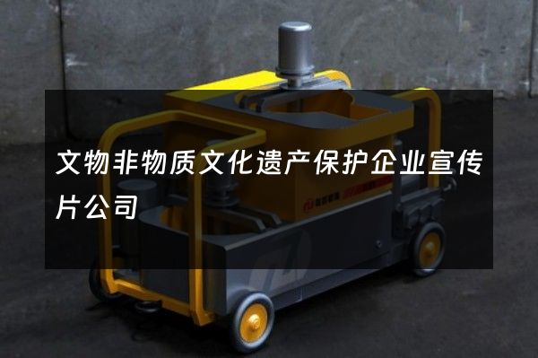 文物非物质文化遗产保护企业宣传片公司