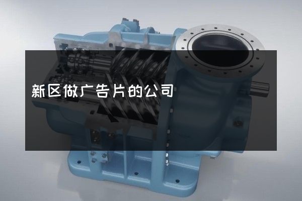 新区做广告片的公司
