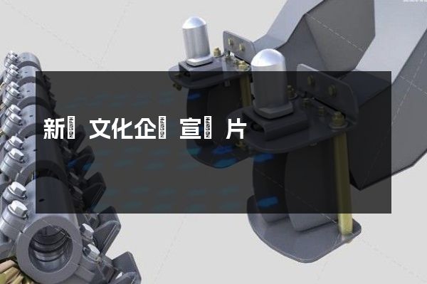 新區文化企業宣傳片