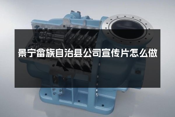 景宁畲族自治县公司宣传片怎么做