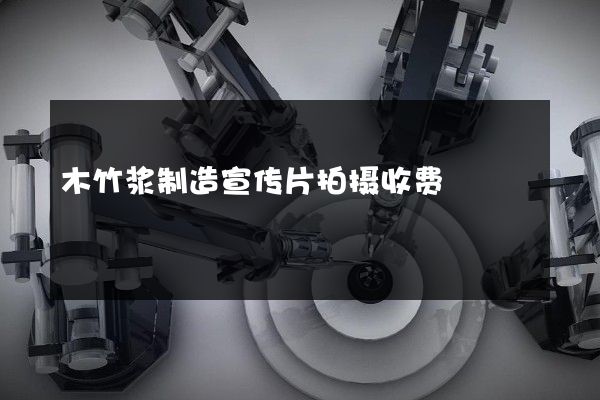 木竹浆制造宣传片拍摄收费