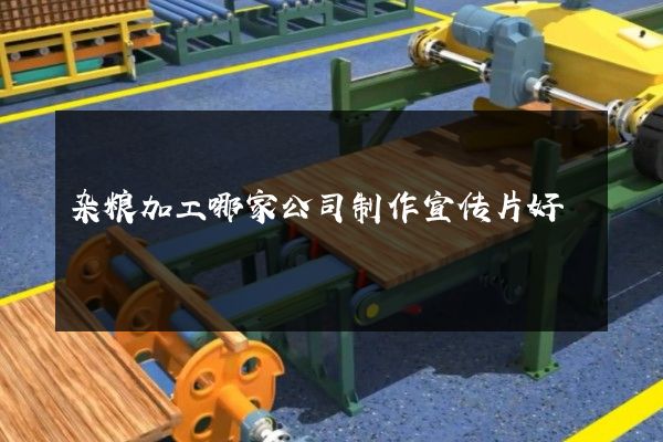 杂粮加工哪家公司制作宣传片好