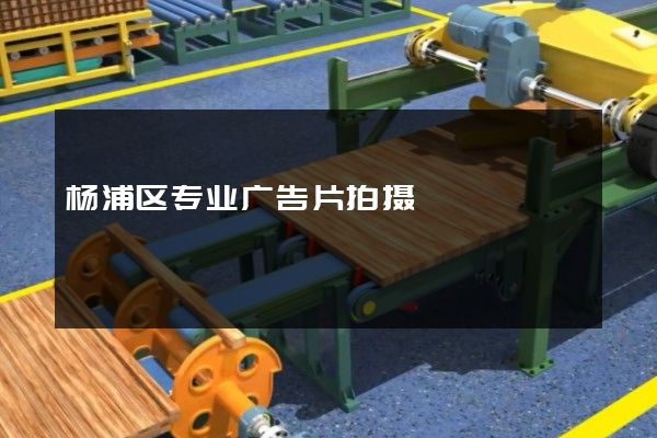 杨浦区专业广告片拍摄