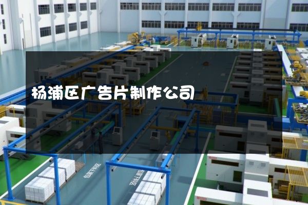 杨浦区广告片制作公司