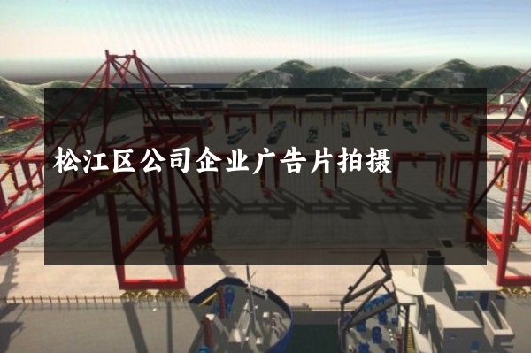 松江区公司企业广告片拍摄