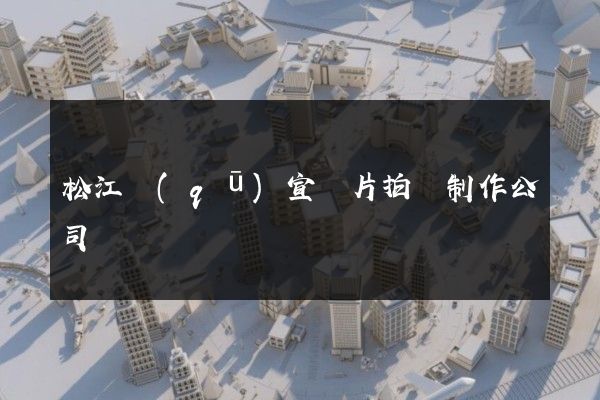 松江區(qū)宣傳片拍攝制作公司