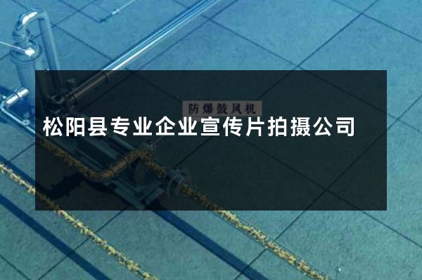 松阳县专业企业宣传片拍摄公司