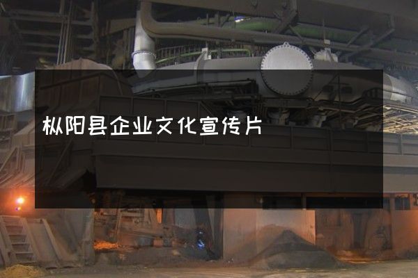 枞阳县企业文化宣传片