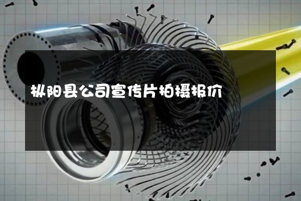 枞阳县公司宣传片拍摄报价
