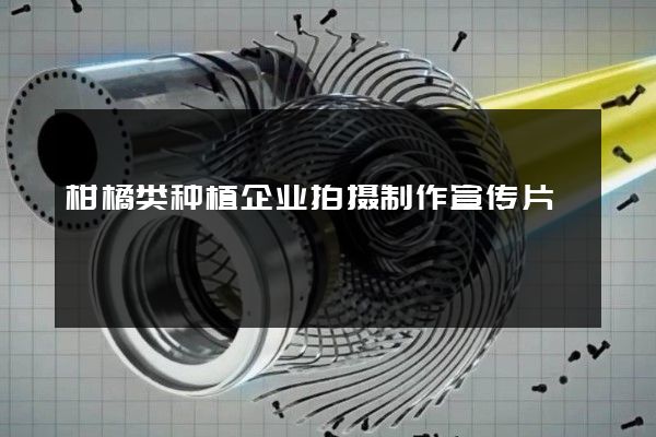 柑橘类种植企业拍摄制作宣传片