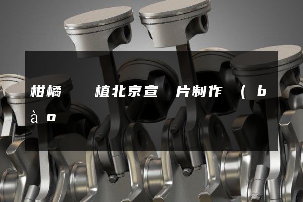 柑橘類種植北京宣傳片制作報(bào)價(jià) 柑橘類種植北京宣傳片制作報(bào)價(jià)