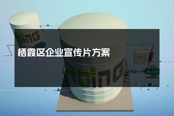 栖霞区企业宣传片方案