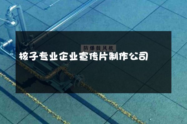 核子专业企业宣传片制作公司