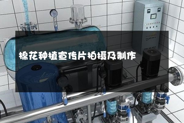 棉花种植宣传片拍摄及制作