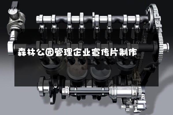森林公园管理企业宣传片制作