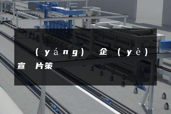 樅陽(yáng)縣企業(yè)宣傳片策劃