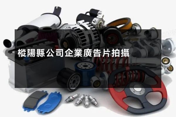 樅陽縣公司企業廣告片拍攝