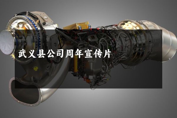 武义县公司周年宣传片