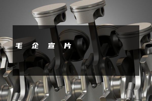 毛條企業宣傳片報價