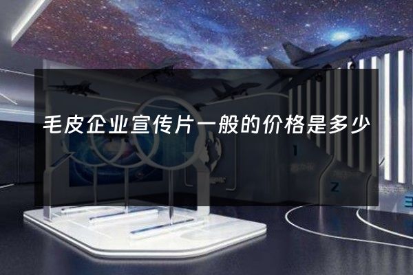 毛皮企业宣传片一般的价格是多少