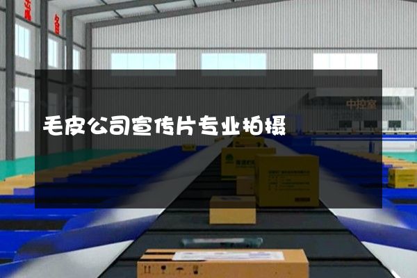 毛皮公司宣传片专业拍摄