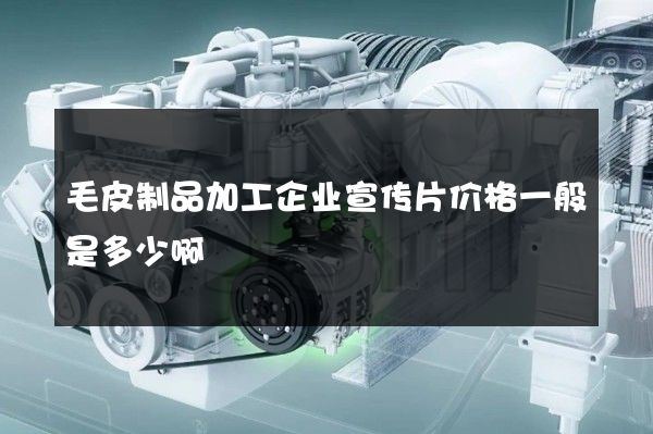 毛皮制品加工企业宣传片价格一般是多少啊