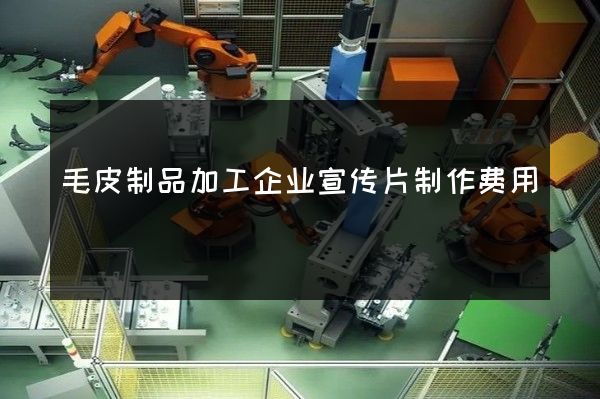 毛皮制品加工企业宣传片制作费用