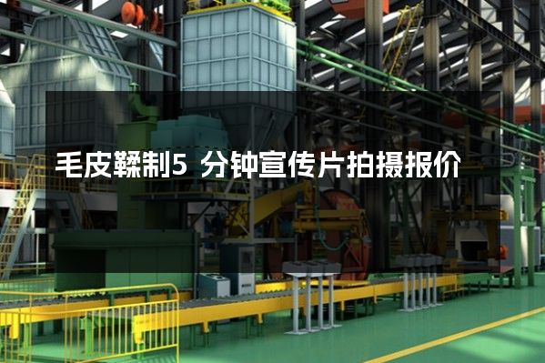 毛皮鞣制5分钟宣传片拍摄报价