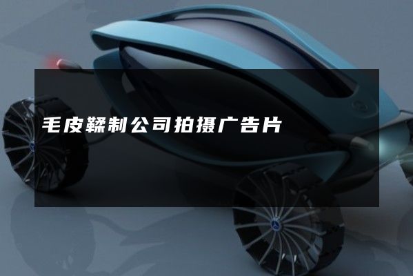 毛皮鞣制公司拍摄广告片